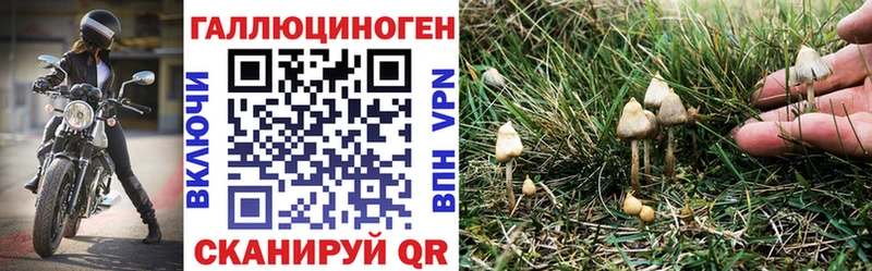 Галлюциногенные грибы ЛСД  Геленджик 